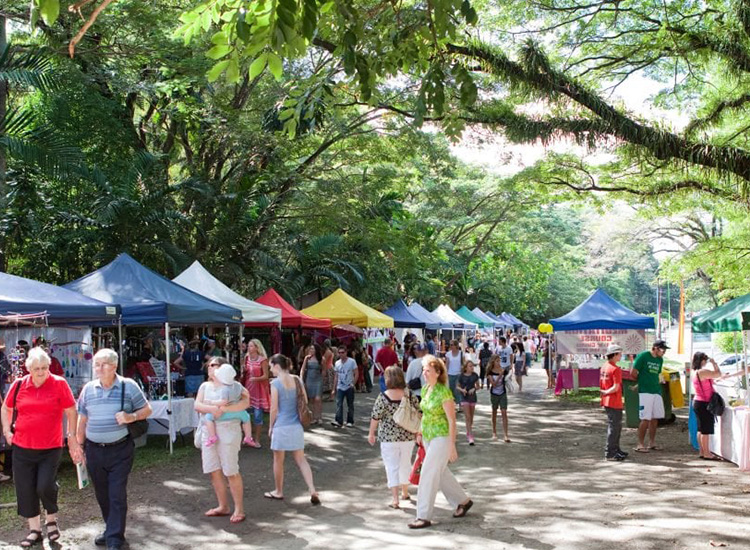 Experience Local Culture at the Cooktown Markets